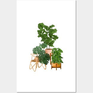 House Plants 50.4 Posters and Art